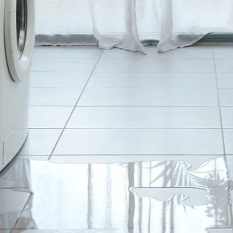 Appliance Leak Cleanup in Eaton County, MI